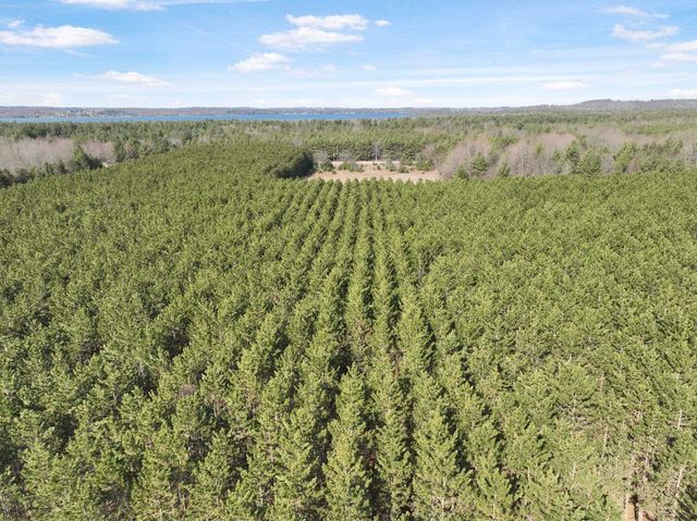 7020 NW Round Lake Road, Rapid City, MI 49676