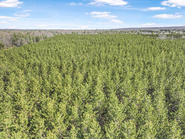 7020 NW Round Lake Road, Rapid City, MI 49676