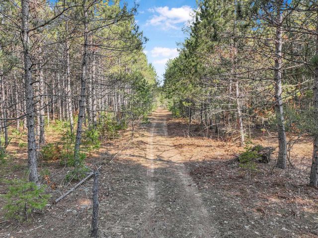 7020 NW Round Lake Road, Rapid City, MI 49676