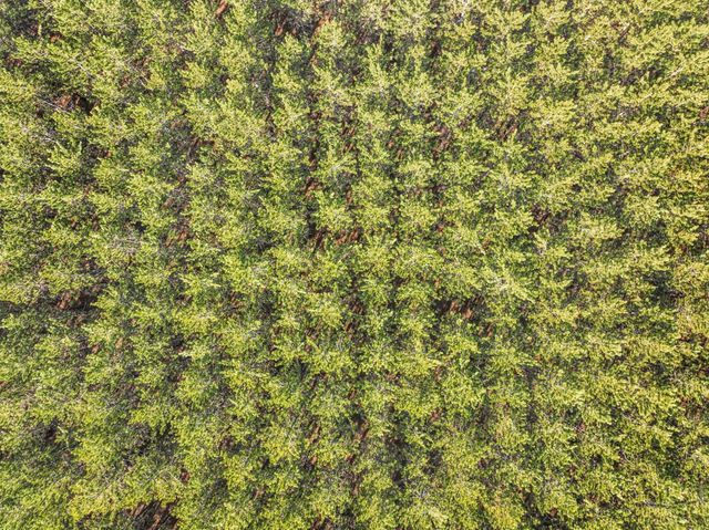 7020 NW Round Lake Road, Rapid City, MI 49676