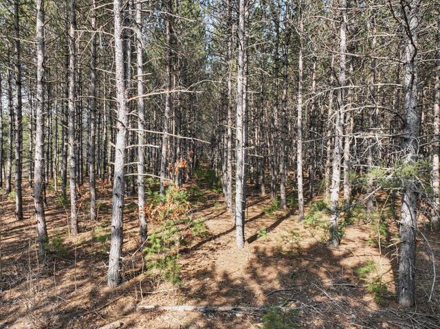 7020 NW Round Lake Road, Rapid City, MI 49676