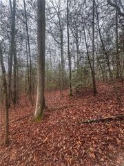 0 W Mountaintown Trail, Ellijay, GA 30540