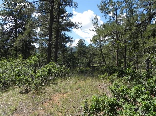 4144 Cheyenne Drive, Larkspur, CO 80118