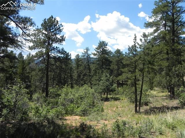 4144 Cheyenne Drive, Larkspur, CO 80118