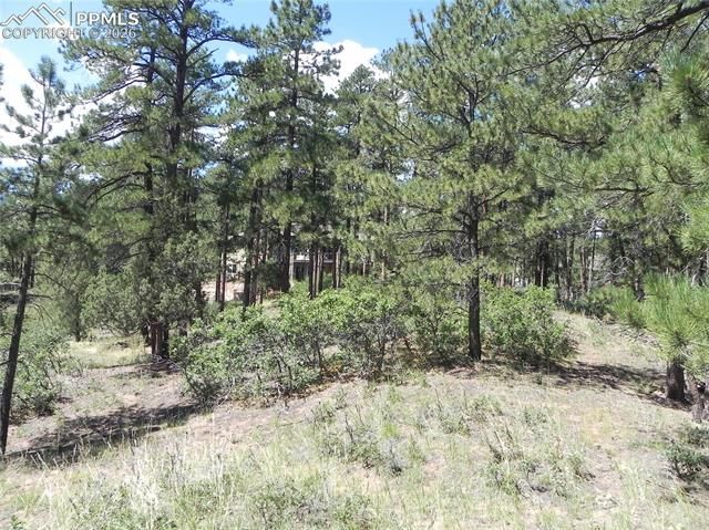 4144 Cheyenne Drive, Larkspur, CO 80118