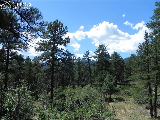 4144 Cheyenne Drive, Larkspur, CO 80118