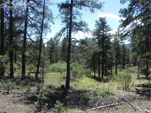 4144 Cheyenne Drive, Larkspur, CO 80118