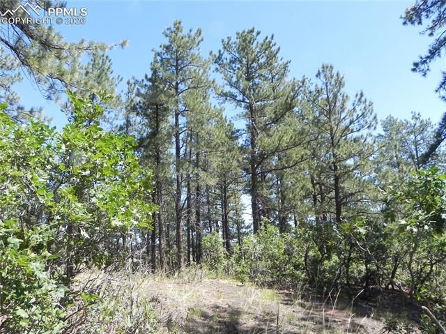 4144 Cheyenne Drive, Larkspur, CO 80118