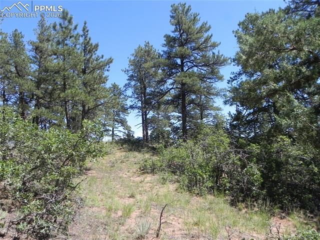 4144 Cheyenne Drive, Larkspur, CO 80118