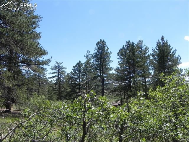 4144 Cheyenne Drive, Larkspur, CO 80118