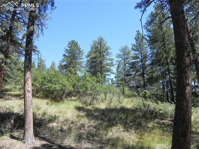 4144 Cheyenne Drive, Larkspur, CO 80118