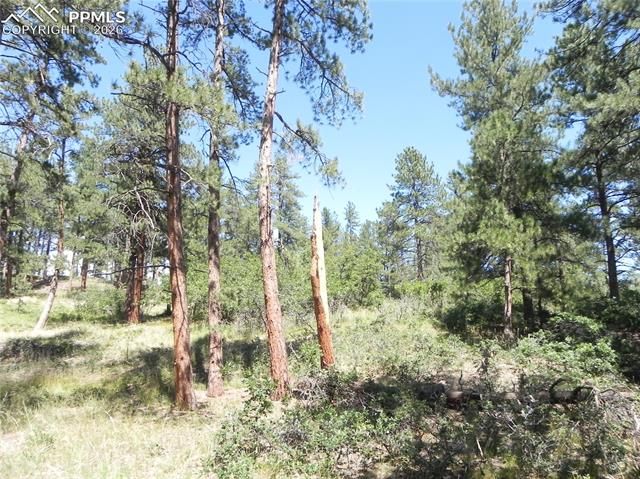 4144 Cheyenne Drive, Larkspur, CO 80118