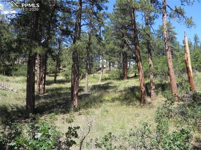 4144 Cheyenne Drive, Larkspur, CO 80118