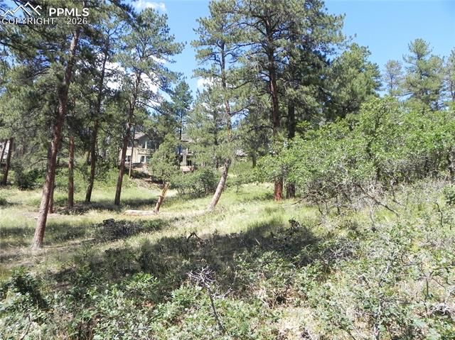 4144 Cheyenne Drive, Larkspur, CO 80118