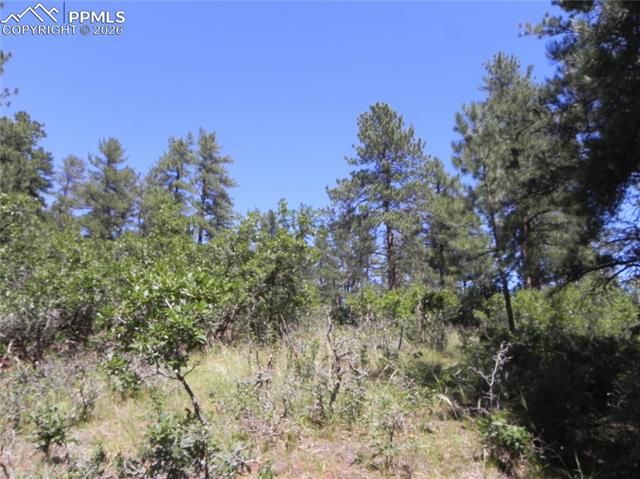 4144 Cheyenne Drive, Larkspur, CO 80118