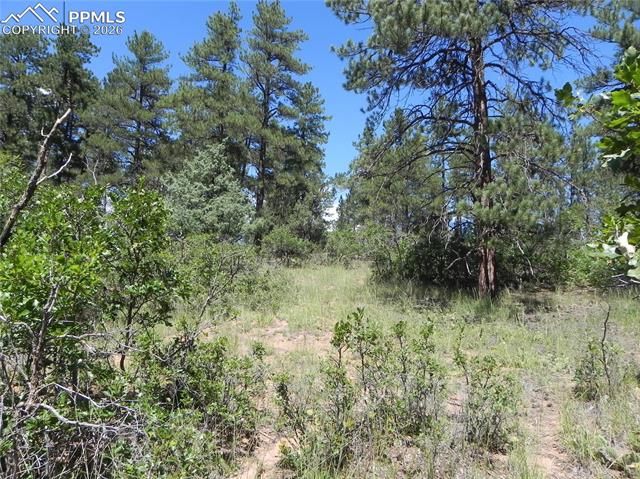 4144 Cheyenne Drive, Larkspur, CO 80118