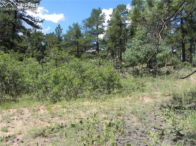 4144 Cheyenne Drive, Larkspur, CO 80118