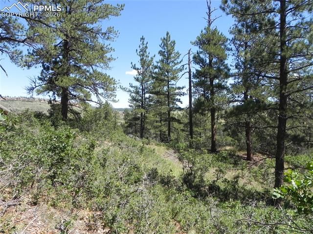 4144 Cheyenne Drive, Larkspur, CO 80118