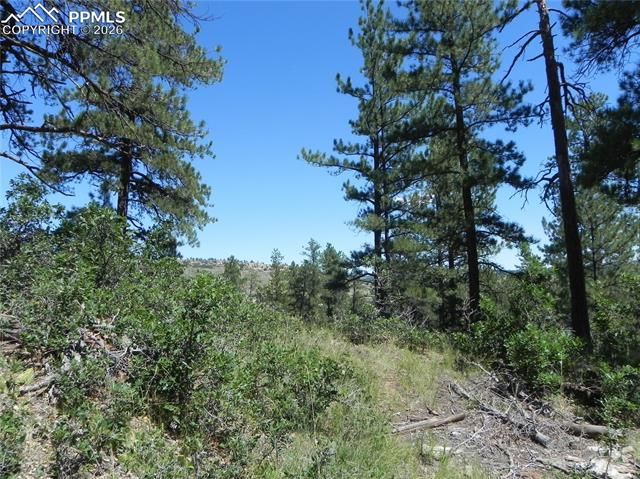 4144 Cheyenne Drive, Larkspur, CO 80118