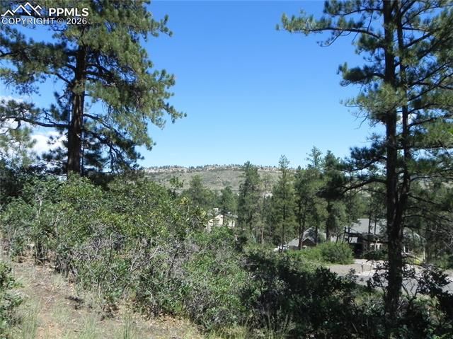 4144 Cheyenne Drive, Larkspur, CO 80118