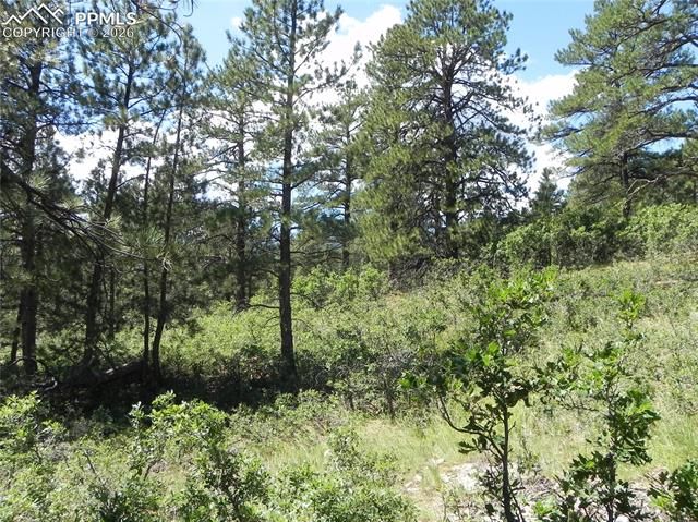 4144 Cheyenne Drive, Larkspur, CO 80118