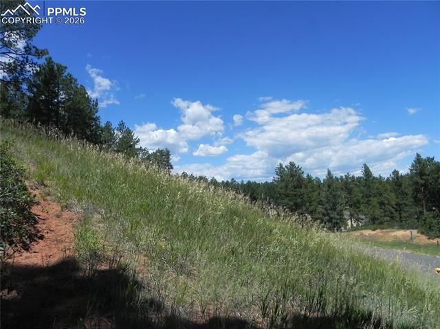 4144 Cheyenne Drive, Larkspur, CO 80118