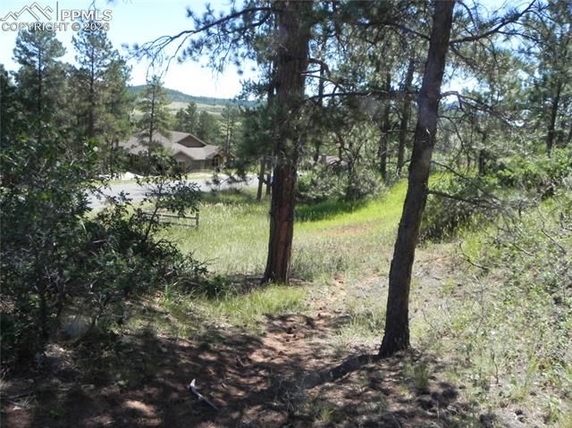 4144 Cheyenne Drive, Larkspur, CO 80118