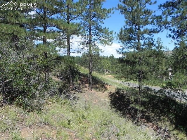 4144 Cheyenne Drive, Larkspur, CO 80118
