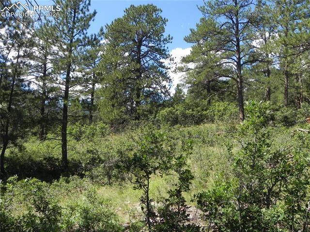 4144 Cheyenne Drive, Larkspur, CO 80118