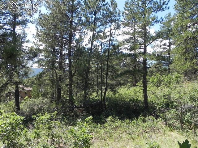 4144 Cheyenne Drive, Larkspur, CO 80118