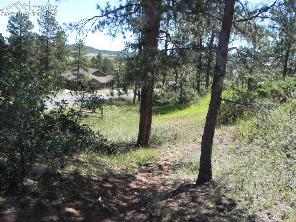 4144 Cheyenne Drive, Larkspur, CO 80118 — photo 4