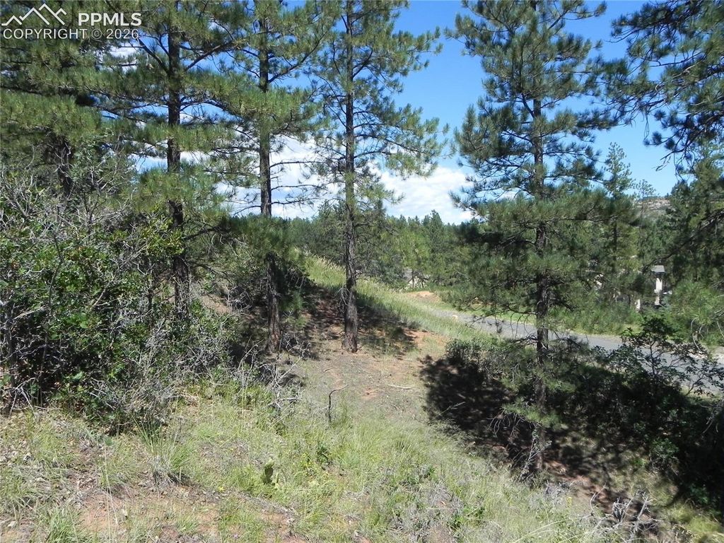 4144 Cheyenne Drive, Larkspur, CO 80118 — photo 5