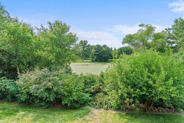 14361 Cormorant Way, Rosemount, MN 55068