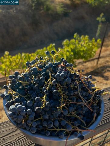 285 Apollo Way, Pleasant Hill, CA 94523