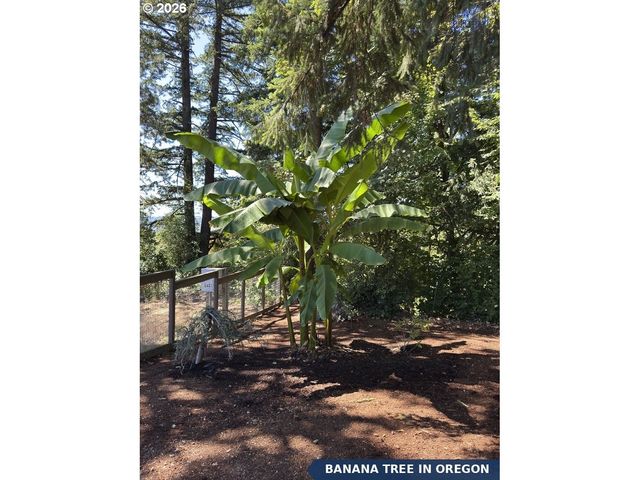 14159 QUAIL Ct, Oregon City, OR 97045