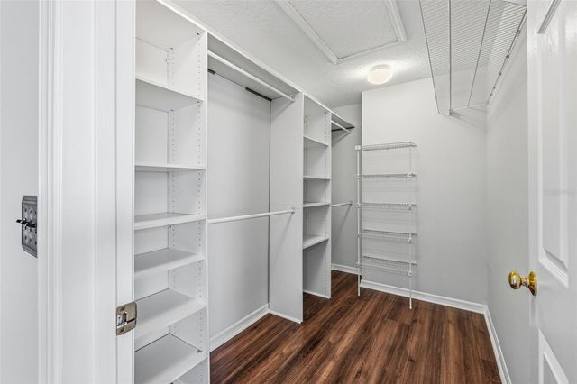 17705 ESPRIT DRIVE, Tampa, FL 33647