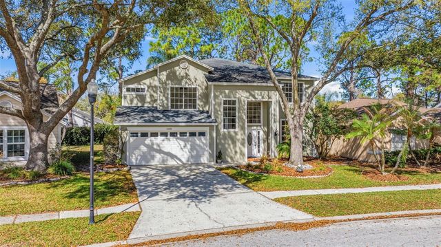 17705 ESPRIT DRIVE, Tampa, FL 33647