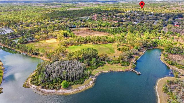 17705 ESPRIT DRIVE, Tampa, FL 33647