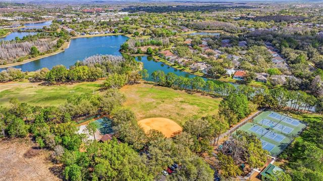 17705 ESPRIT DRIVE, Tampa, FL 33647