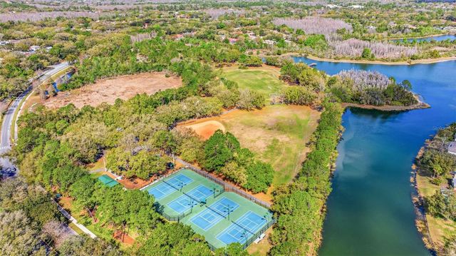 17705 ESPRIT DRIVE, Tampa, FL 33647