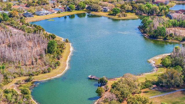 17705 ESPRIT DRIVE, Tampa, FL 33647