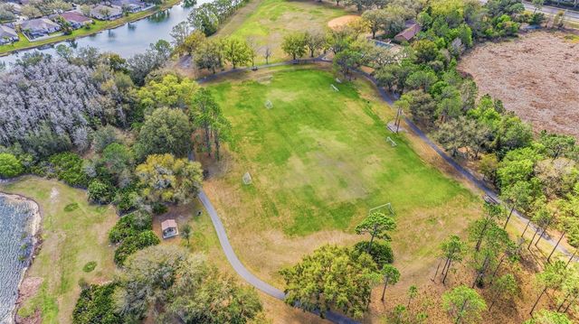 17705 ESPRIT DRIVE, Tampa, FL 33647