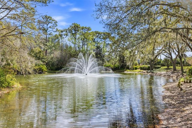 17705 ESPRIT DRIVE, Tampa, FL 33647