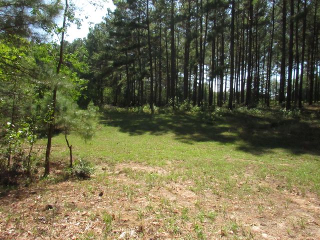 0024 Fm 256 N, Woodville, TX 75979