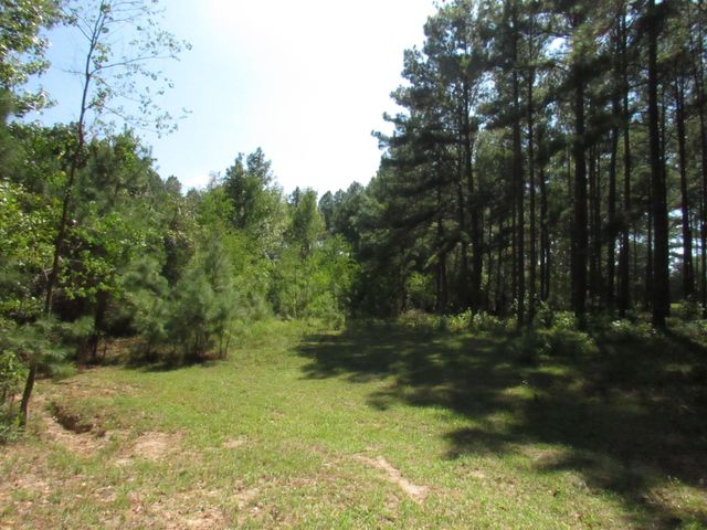 0024 Fm 256 N, Woodville, TX 75979