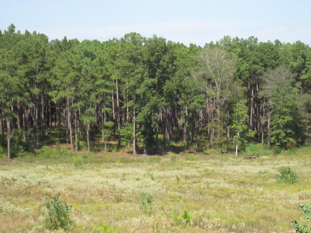 0024 Fm 256 N, Woodville, TX 75979