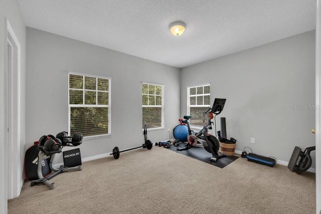 16007 MULBERRYPARK CIRCLE, Lithia, FL 33547