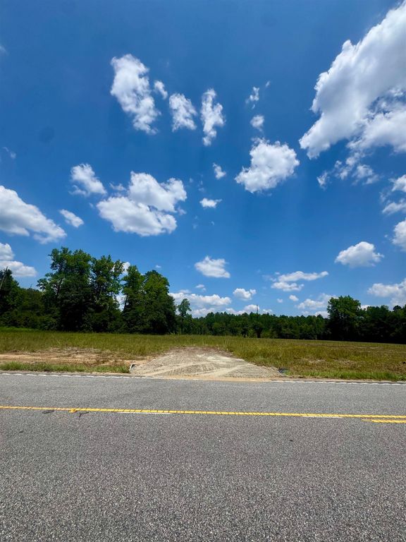 10052 W Highway 19, Loris, SC 29569 — photo 2