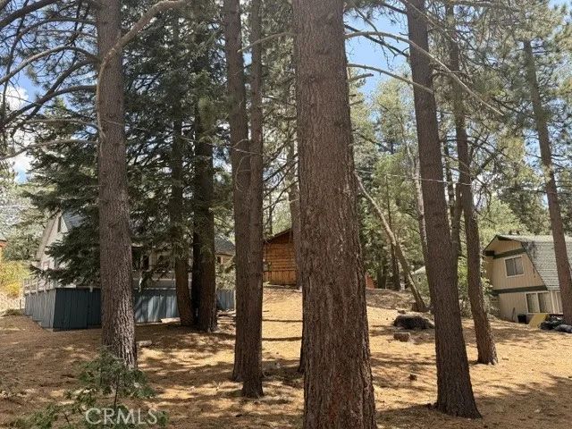 33390 Wild Rose, Green Valley Lake, CA 92341