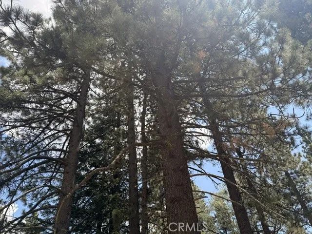 33390 Wild Rose, Green Valley Lake, CA 92341